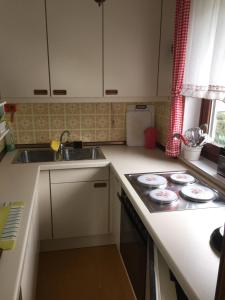 a kitchen with a sink and a stove top oven at Wohnung Alpencottage in Bad Aussee