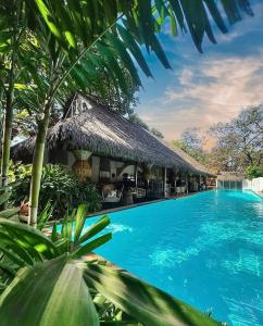 a resort with a large swimming pool with a thatch roof at OIA GOA - Private Pool in Vagator