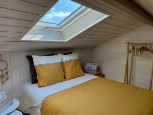 a bedroom with a bed with a skylight at Les Tignoliers in Tignieu-Jameyzieu
