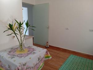 a vase with a plant on a table in a room at Kitnet Imigrantes in Holambra