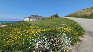a house on the side of a hill with flowers at E08 Boness E8, Riviere Towans in Hayle +9 photos