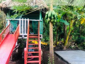 a house with a bunch of bananas hanging from a tree at Sunflower Cottage near Ojo de Agua in Las Pilas