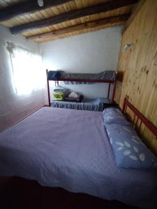 a bedroom with a bed with a blue comforter at Antonio House in Uspallata