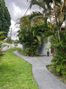 a concrete walkway with palm trees in a yard at Estação 48 in Castanhal