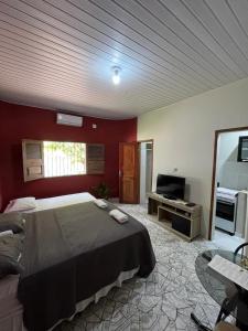 a bedroom with a large bed and a television at Estação 48 in Castanhal