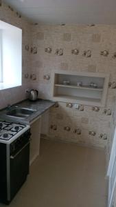 A kitchen or kitchenette at Mount Guest
