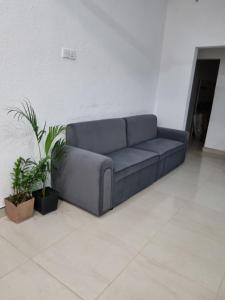 a blue couch in a room with potted plants at Wings Hotel & Hostel in Trincomalee