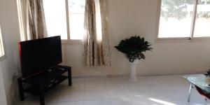 a living room with a flat screen tv and a plant at Beachside Vacation House in Ras al Khaimah