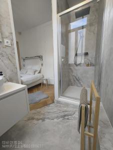 a bathroom with a shower with a glass door at Le Royal Dijonnais - Centre Ville in Dijon