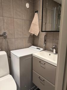 a small bathroom with a toilet and a sink at 50s Atmospheric Suite in Turku +9 photos