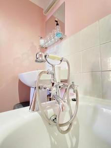 a bathroom with a bath tub with a hoses at Greyfriars Lodge Canterbury in Canterbury +46 photos