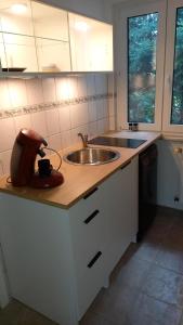 a kitchen with a sink and a counter top at Ferienhaus Lukas in Zinnowitz +5 photos