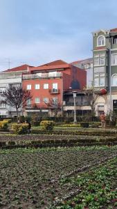 a group of buildings in a city with a park at Braga 2 Bedrooms Nice Flat in Braga
