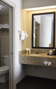 a bathroom with a sink and a mirror and a toilet at Sky Harbor Airport Inn in Phoenix