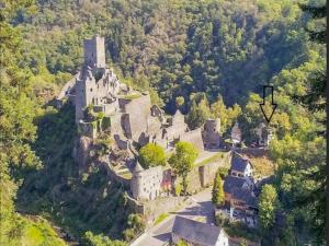 eine Luftaufnahme einer alten Burg auf einem Hügel in der Unterkunft Manderscheid in Manderscheid