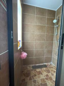 a bathroom with a shower with a glass door at Akany Sahoby in Antananarivo