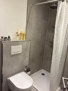 a bathroom with a shower with a toilet and a sink at Klytti‘s Pension in Sendenhorst