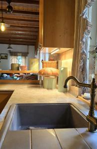 a kitchen with a sink and a counter top at Srub pod Tetřevím vrchem in Dolni Dvur