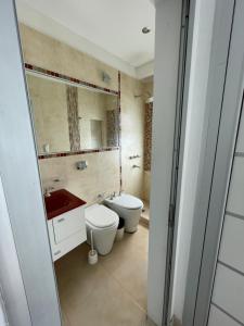 a bathroom with a toilet and a sink and a mirror at Jardines del Liceo in Comodoro Rivadavia