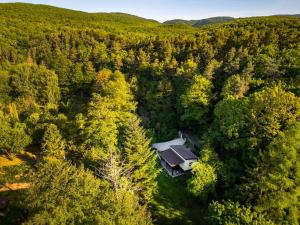 an aerial view of a house in the middle of a forest at Vízfő Kabin in Sály