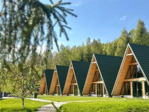 a building with a green roof at A Frames By Pensiunea Merișor in Răchiţele
