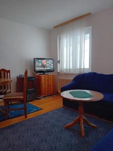 a living room with a blue couch and a tv at Tina in Jahorina
