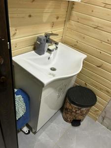 a bathroom with a white sink and a wooden wall at Cottage SUNNY in Itʼkhvisi