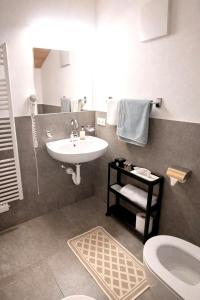a bathroom with a sink and a toilet at Binterhof ROSALPINA APP in Castelrotto +97 photos