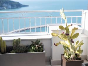 a group of cacti and plants on a balcony at Vico Lungo 9, Peschici in Peschici