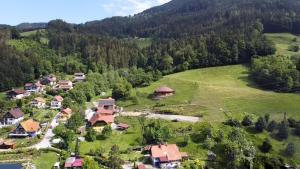 an aerial view of a village in the mountains at Reitterhof in Laufnitzdorf in Frohnleiten