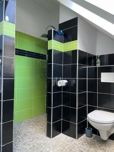 a bathroom with a toilet and green and black tiles at Reitterhof in Laufnitzdorf in Frohnleiten +21 photos