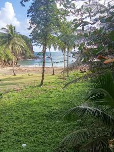 a view of a beach with palm trees and the ocean at Cassiane Apartments in Thibaud