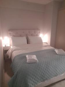 a large bed with two pillows and two lamps at Nature Nest in Larisa