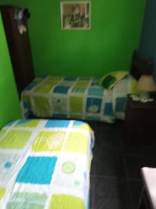a green bedroom with a bed and a green wall at Nahomi House in Barrio Félix U Camet