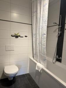 a white bathroom with a toilet and a shower at Zimmer Zur Säge in Kötschach +24 photos