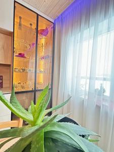 a potted plant in a room with a window at Jora su terasa apartamentai in Stančiai