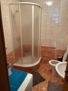 a bathroom with a shower and a toilet and a sink at Apartman Zimski Kutak in Kupres