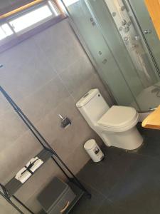 a bathroom with a white toilet and a window at Cabaña Palafito in Coelemu