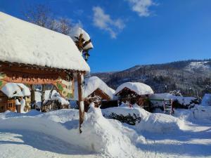 a house covered in snow with a roof at Agroturystyka u Matysa Wisła apartamenty i pokoje Widoki na góry Basen grill balia szlaki turystyczne spacery Zwierzęta duży plac zabaw in Wisła