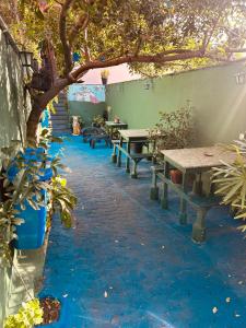 a patio with benches and tables and a tree at Onça da Praia Hostel in Vitória +58 photos