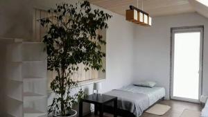 a bedroom with a bed and a potted plant at AzyL25 in Starachowice