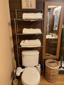 a bathroom with a toilet and a mirror and towels at Mountain Cabin at Heavenly in Stateline +28 photos