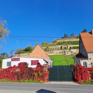 a white building with red flowers in front of a house at Ferienhaus und Straußwirtschaft im Weinberg in Freyburg +7 photos