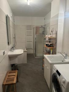 a bathroom with a sink and a washing machine at Respiro di Bosco in Robbiate +31 photos