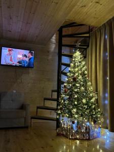 a christmas tree in a living room with a tv at Cottage SUNNY in Itʼkhvisi