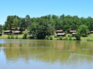 a large body of water with houses in the background at Chalet 35m² avec Terrasse, 2 Chambres - API-1-52-1014 in Boulogne-sur-Gesse