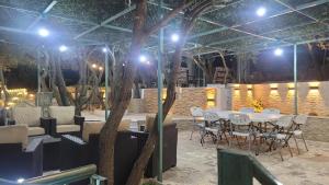 a dining area with a table and chairs and lights at Zaytouna Farm in Ajloun