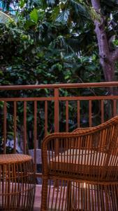 two wooden benches sitting in front of a tree at Rivethi Veyli Ukulhas in Ukulhas +21 photos