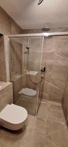 a bathroom with a toilet and a glass shower at alter Hannelerhof in Mutters +8 photos