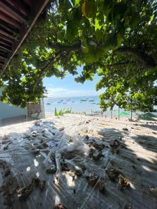 a group of birds sitting on a beach at Apartamento Rangel in Cairu